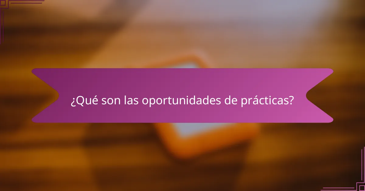 ¿Qué son las oportunidades de prácticas?